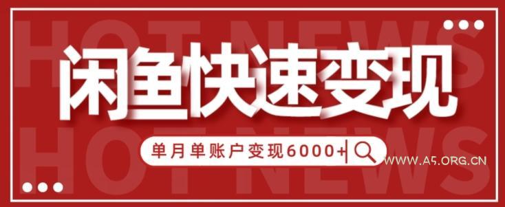 【新手项目】小白快速在闲鱼单月单账号变现6000+的秘密-A5资源网