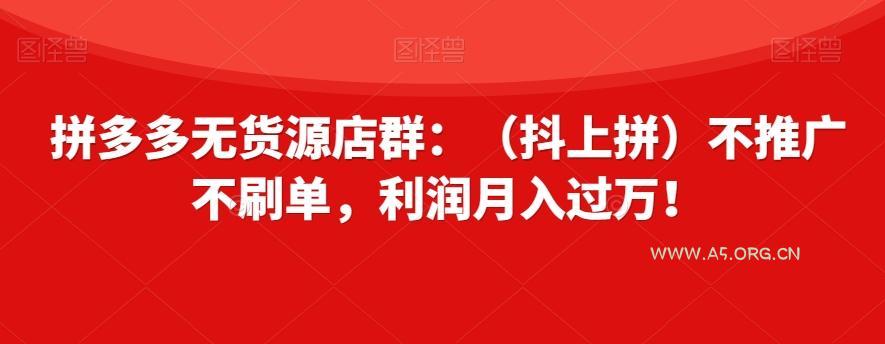 拼多多无货源店群：（抖上拼）不推广不刷单，利润月入过万！【揭秘】-A5资源网