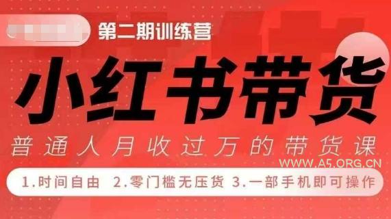小Red书带货42天训练营 2.0版，宝妈+自由职+上班族+大学生，提高副业收入的大红利项目-A5资源网