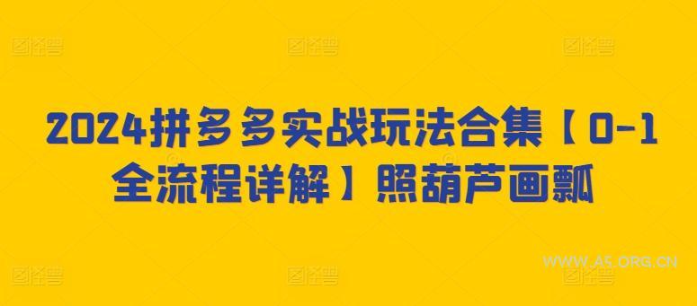 2024拼多多实战玩法合集【0-1全流程详解】照葫芦画瓢-A5资源网