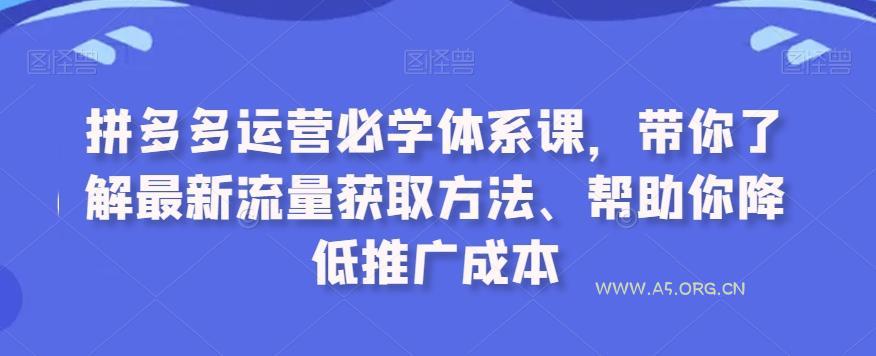 拼多多运营必学体系课，带你了解最新流量获取方法、帮助你降低推广成本-A5资源网