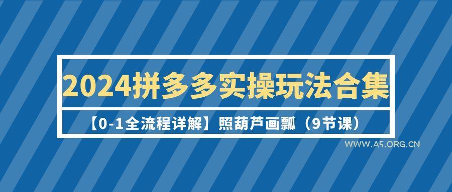 (9559期)2024拼多多实操玩法合集【0-1全流程详解】照葫芦画瓢(9节课)-A5资源网