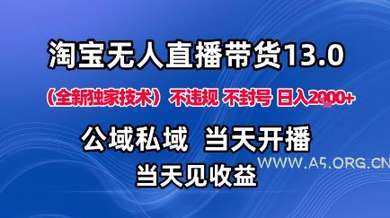 淘宝无人直播13.0，公域私域技术，不封号，不违规布局下半年旺季赛道，日入1K+(独家技术)【揭秘】-A5资源网