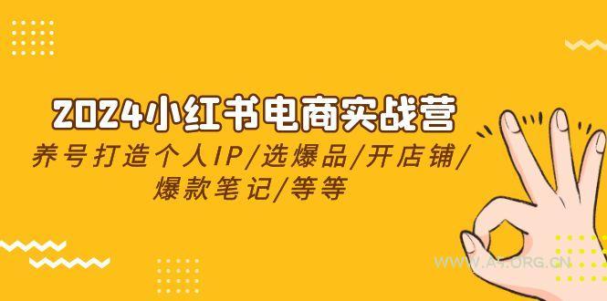 2024小红书电商实战营，养号打造IP/选爆品/开店铺/爆款笔记/等等(24节)-A5资源网