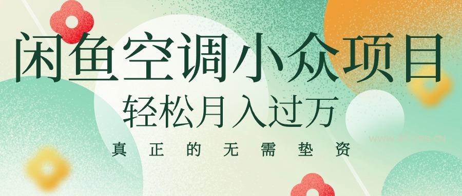 闲鱼卖空调小众项目 轻松月入过万 真正的无需垫资金-A5资源网