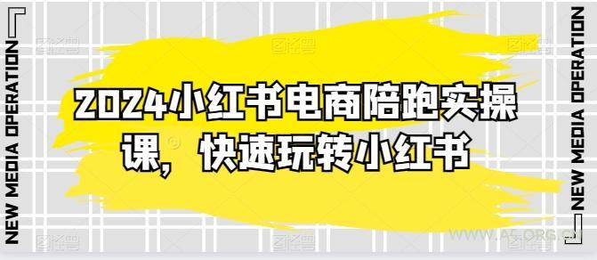 2024小红书电商陪跑实操课，快速玩转小红书，超过20节精细化课程-A5资源网