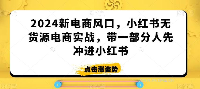 2024新电商风口，小红书无货源电商实战，带一部分人先冲进小红书-A5资源网