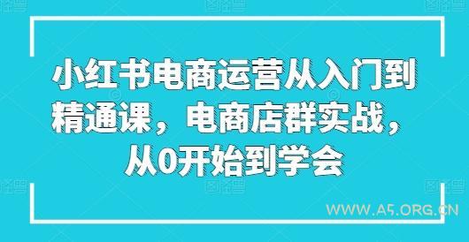 小红书电商运营从入门到精通课，电商店群实战，从0开始到学会-A5资源网
