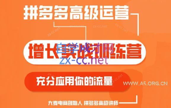 大麦老师·拼多多单品爆款打造课程(更新6月)-A5资源网