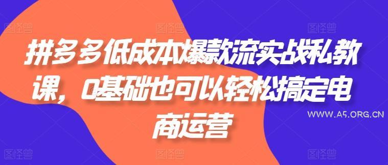 拼多多低成本爆款流实战私教课，0基础也可以轻松搞定电商运营-A5资源网