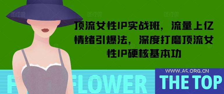 顶流女性IP实战班，流量上亿情绪引爆法，深度打磨顶流女性IP硬核基本功-A5资源网