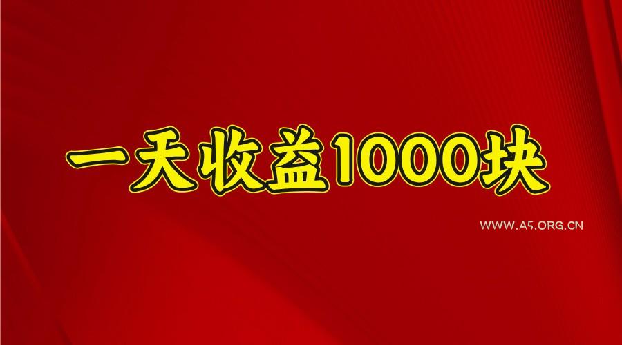 一天收益1000块，2025全网首发-A5资源网