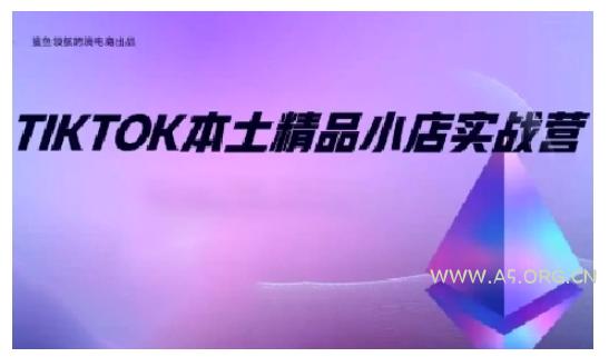 TikTok本土精品小店出海实战营，从入门到高阶，不止0-1!-A5资源网