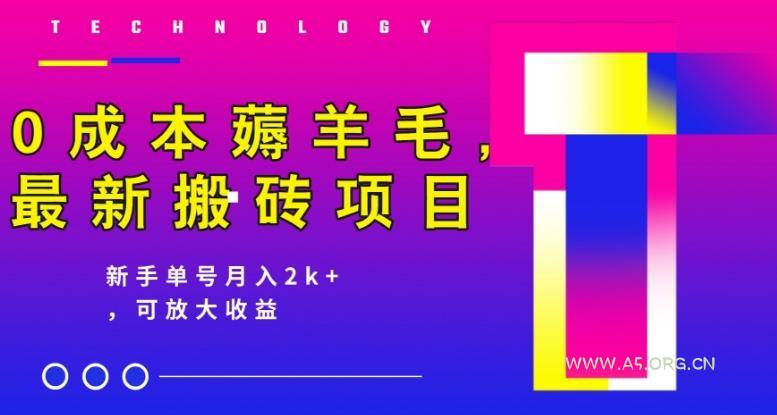0成本薅羊毛，最新搬砖项目，新手单号月入2k+，可放大操作-A5资源网