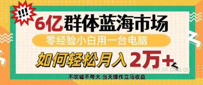 6亿群体蓝海市场，零经验小白用一台电脑，如何轻松月入过w【揭秘】-A5资源网