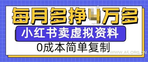 小红书虚拟资料项目，0成本简单复制，每个月多挣1W【揭秘】-A5资源网