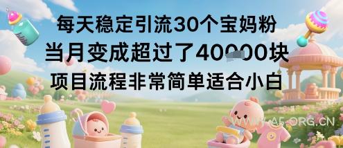 每天稳定引流30个宝妈粉当月变成超过了1W+项目流程非常简单适合小白-A5资源网
