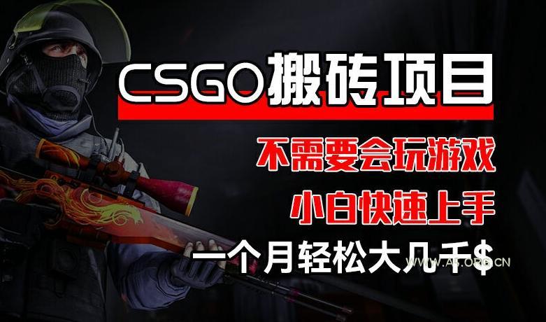 CSGO 装备搬砖项目，操作简单，不需要会玩游戏，小白也能快速上手，一个月轻松大几千【揭秘】-A5资源网