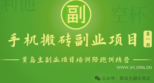 手机搬砖小副业项目训练营1.0，实测1小时收益50+，一部手机轻松日入100+-A5资源网