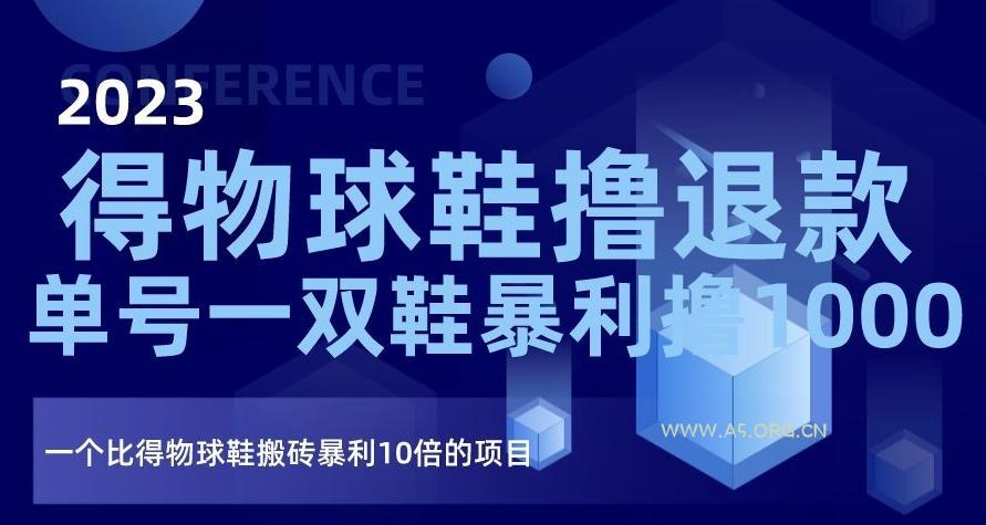 2023得物球鞋撸退款，单号一双鞋暴利撸1000，一个比得物球鞋搬砖暴利10倍的项目【揭秘】-A5资源网