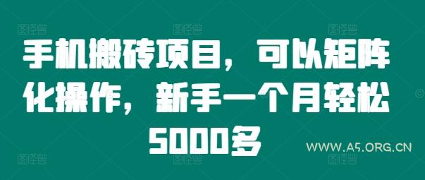 手机搬砖项目，可以矩阵化操作，新手一个月轻松5000多-A5资源网
