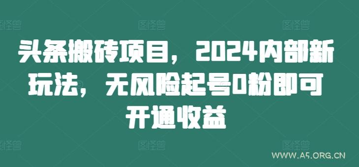 头条搬砖项目，2024内部新玩法，无风险起号0粉即可开通收益-A5资源网