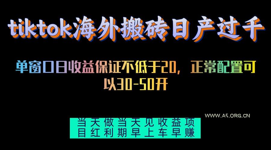 tiktok海外搬砖项目单机日产过千当天做当天见收益-A5资源网