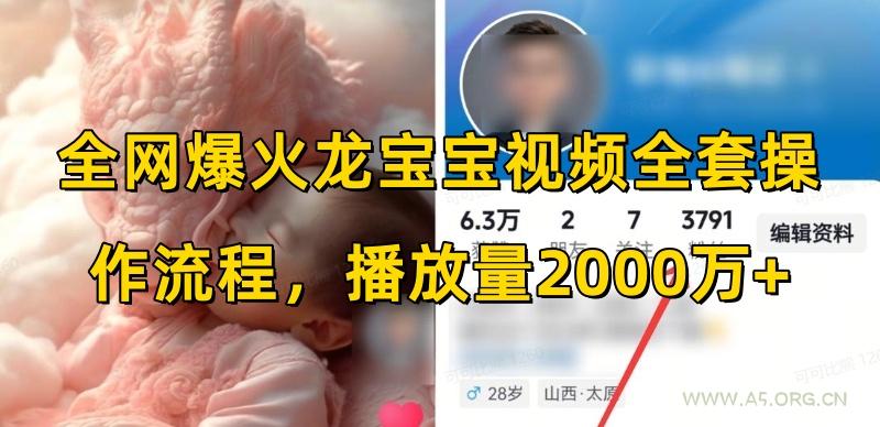 全网爆火龙宝宝视频全套操作流程，播放量2000万+-A5资源网