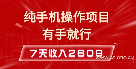 纯手机操作的小项目，有手就能做，7天收入2609+实操教程【揭秘】-A5资源网