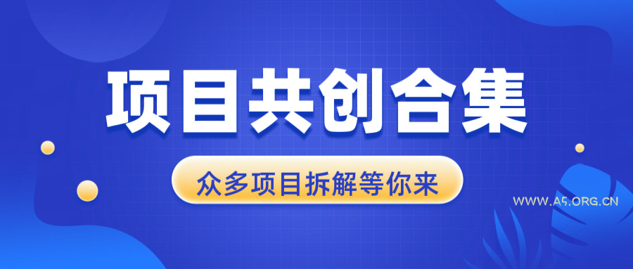项目共创合集，从0-1全过程拆解，让你迅速找到适合自已的项目-A5资源网