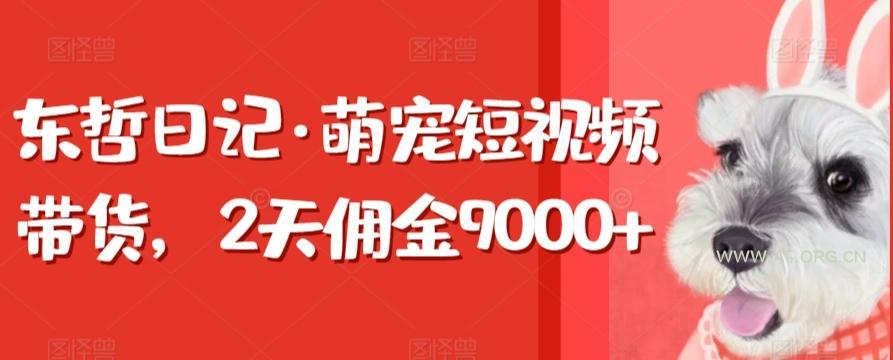 东哲日记·萌宠短视频带货，2天佣金9000+-A5资源网