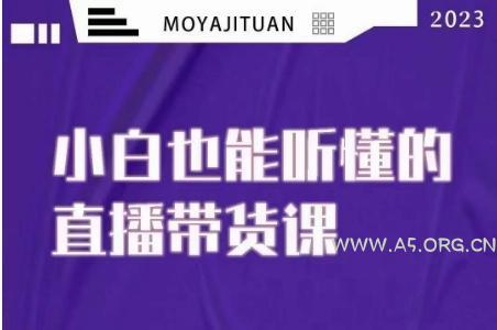 大威本威·能听懂的直播带货课，小白也能听懂，20节完整-A5资源网