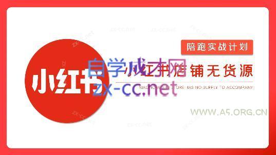 安琪·小红书店铺无货源-A5资源网