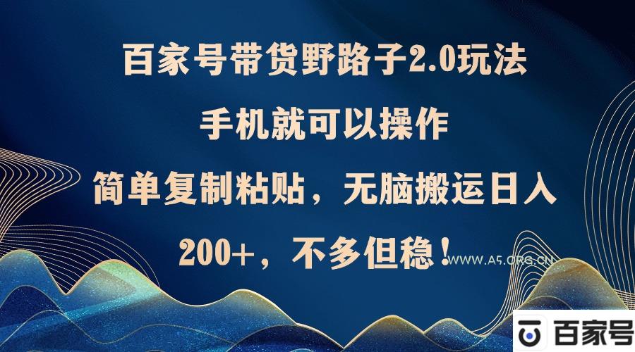 百家号带货野路子2.0玩法，手机就可以操作，简单复制粘贴，无脑搬运日...-A5资源网