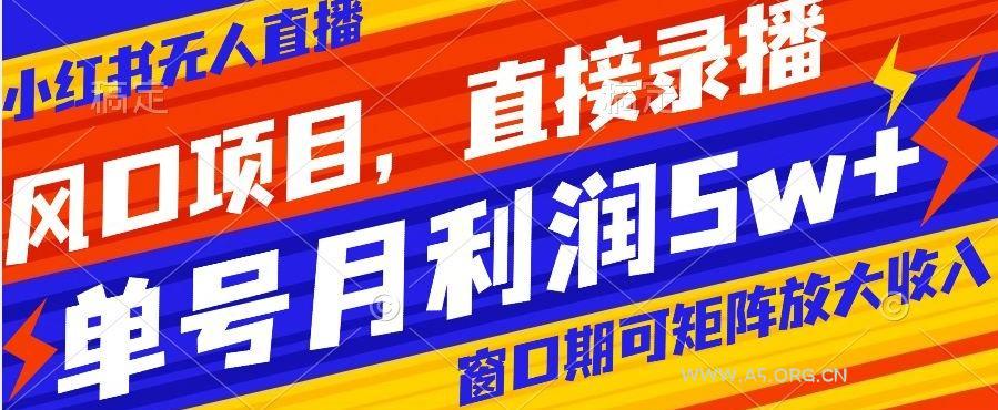 风口项目，小红书无人直播带货，直接录播，可矩阵，月入5w+【揭秘】-A5资源网
