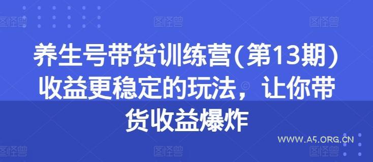 养生号带货训练营(第13期)收益更稳定的玩法，让你带货收益爆炸-A5资源网