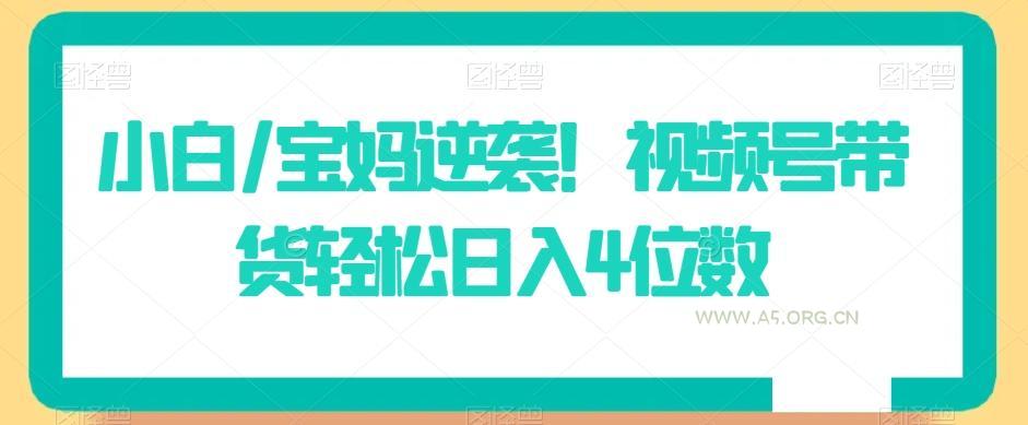 小白/宝妈逆袭！视频号带货轻松日入4位数【揭秘】-A5资源网