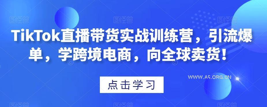 TikTok直播带货实战训练营，引流爆单，学跨境电商，向全球卖货！-A5资源网