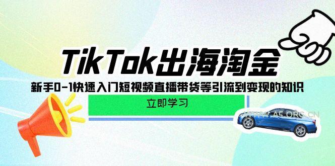 (10035期)TikTok-出海淘金，新手0-1快速入门短视频直播带货等引流到变现的知识-A5资源网