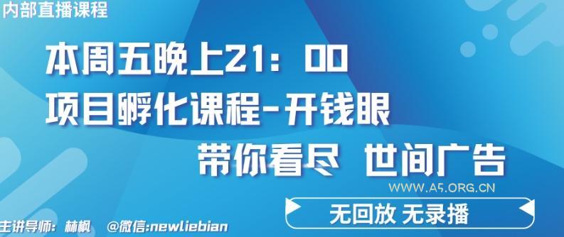 4.26日内部回放课程《项目孵化-开钱眼》赚钱的底层逻辑【揭秘】-A5资源网