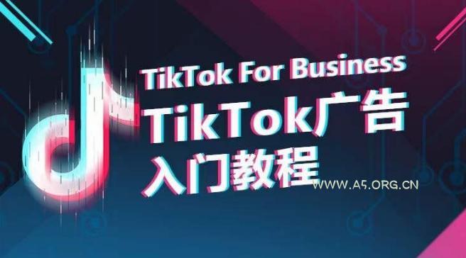 TikTok广告入门教程，从0到1掌握TikTok投放的全流程-A5资源网