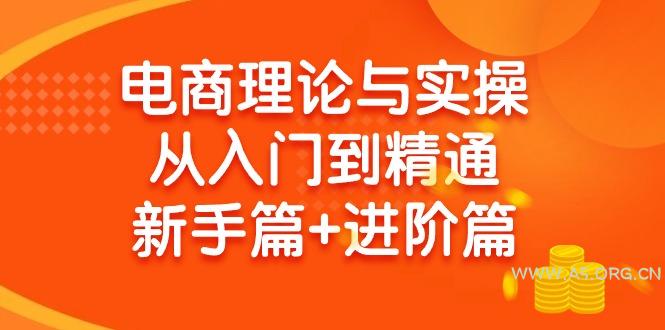 (9576期)电商理论与实操从入门到精通 新手篇+进阶篇-A5资源网