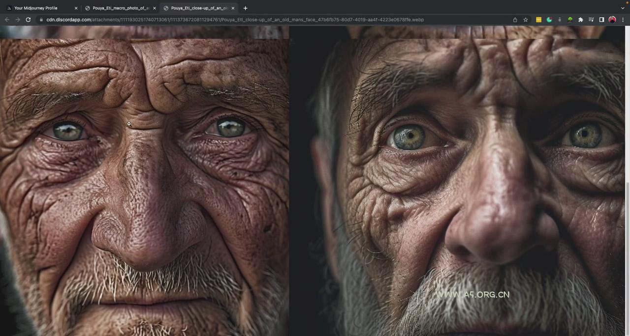 Midjourney, Adobe Firefly AI, ChatGPT 4大型AI人工智能-137节课-中英字幕 - A5资源网