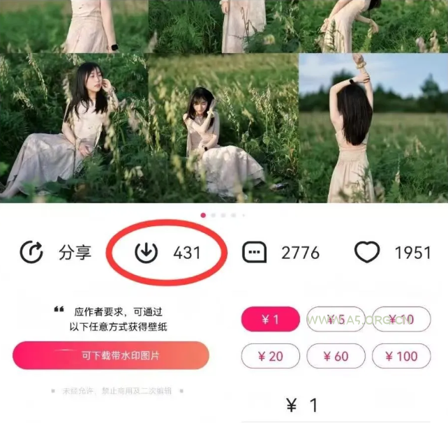 最新图虫搬运项目，收益无上限，利用AI小白也可日赚500+ - A5资源网