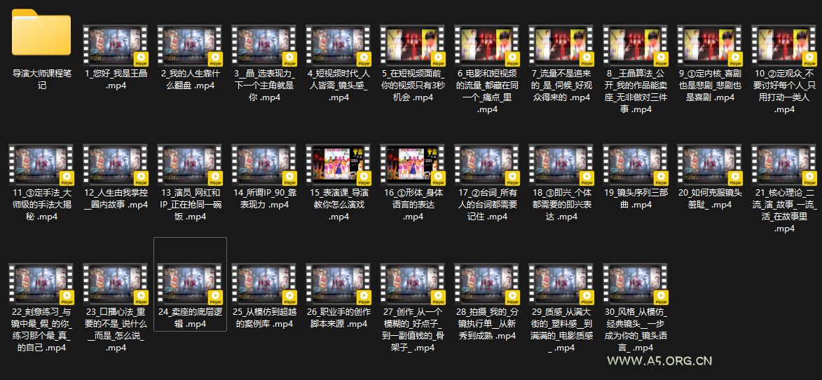 王晶大师课：流量破局-人生由我掌控 - A5资源网