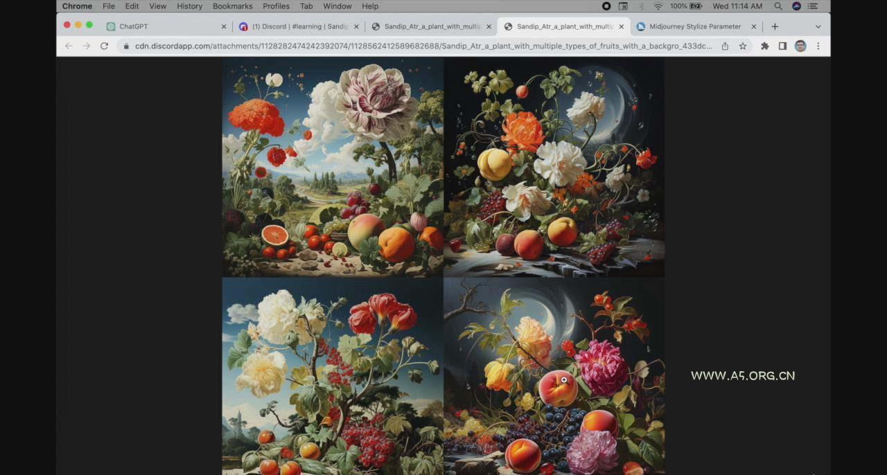 ChatGPT4 和 MidJourney AI 绘画聊天革命性指南教程-33节视频课-中英字幕 - A5资源网