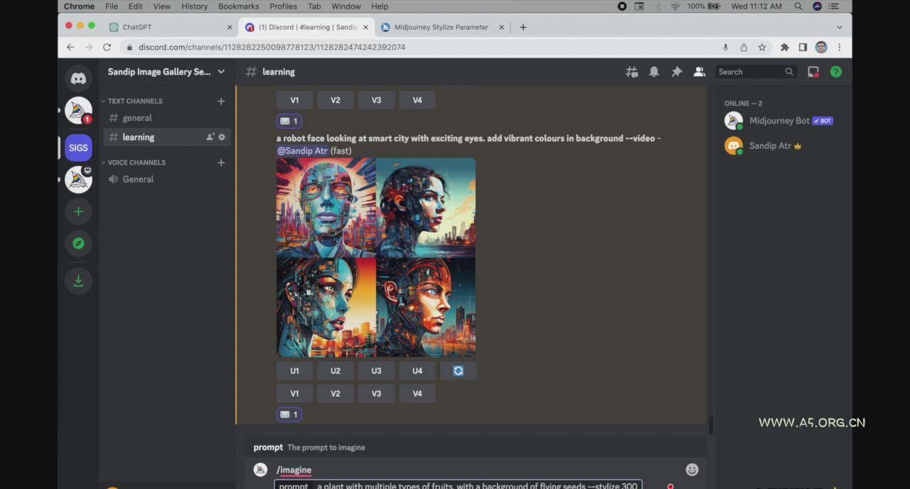ChatGPT4 和 MidJourney AI 绘画聊天革命性指南教程-33节视频课-中英字幕 - A5资源网