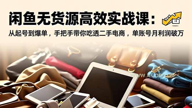 闲鱼无货源高效实战课：从起号到爆单，手把手带你吃透二手电商，单账号月利润破万-A5资源网