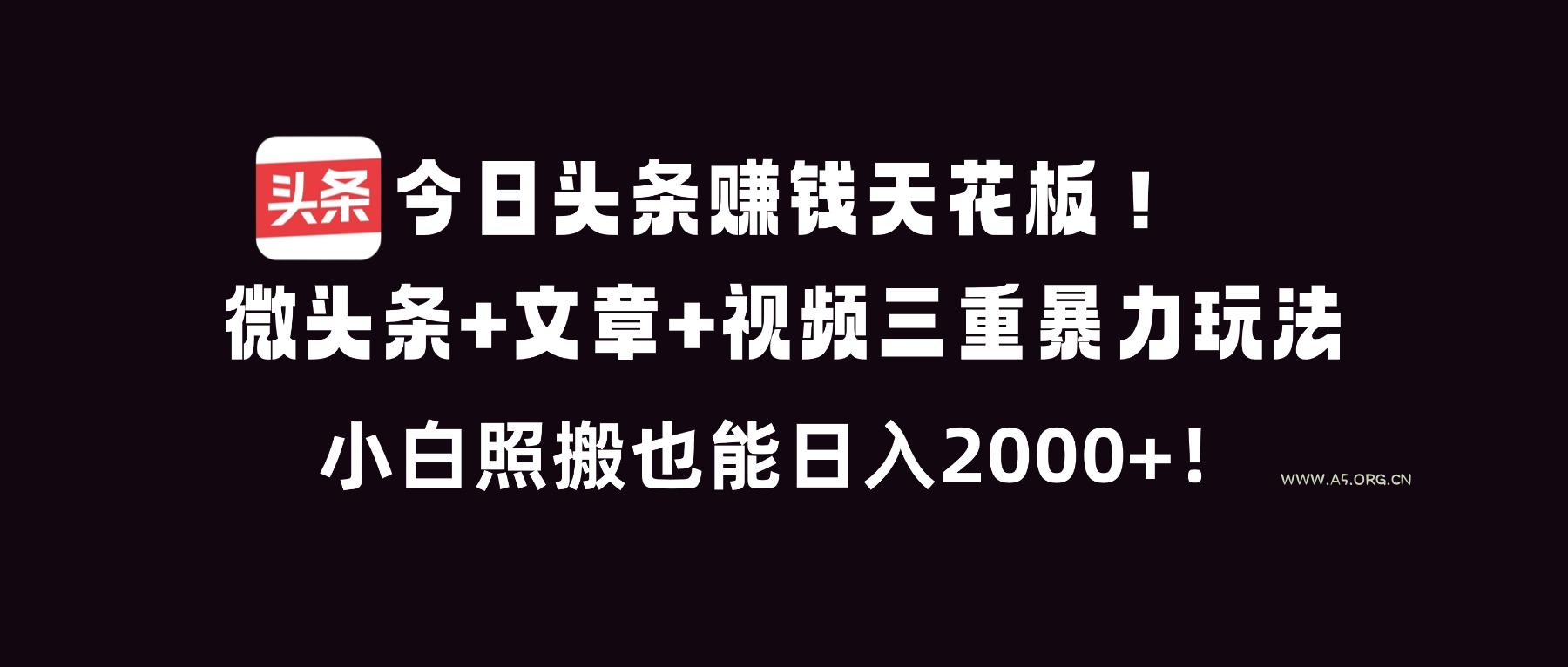 今日头条赚钱天花板！微头条+文章+视频三重暴利玩法，小白照搬也能日人2000+-A5资源网