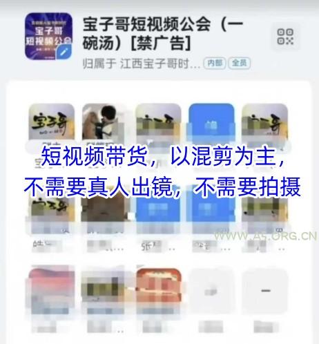 宝子哥头部团队短视频带货，以混剪为主，不需要真人出镜，不需要拍摄【更新11月】-A5资源网